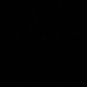 Meet your Posher, Abbigail